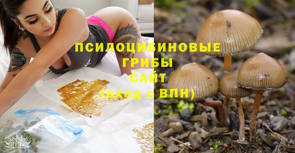 шишки Шарыпово