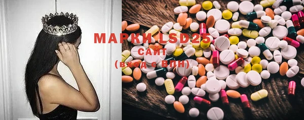 мяу мяу мука Кирс