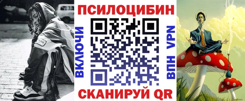 mega tor  Энем  Псилоцибиновые грибы MAGIC MUSHROOMS 